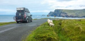 Camper fährt an der Küste von Irland mit Meerblick und zwei Schafen